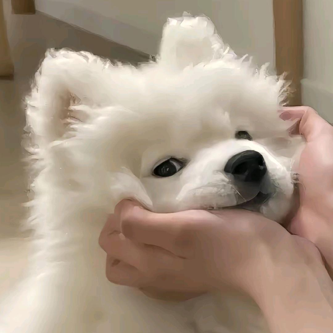 🔆