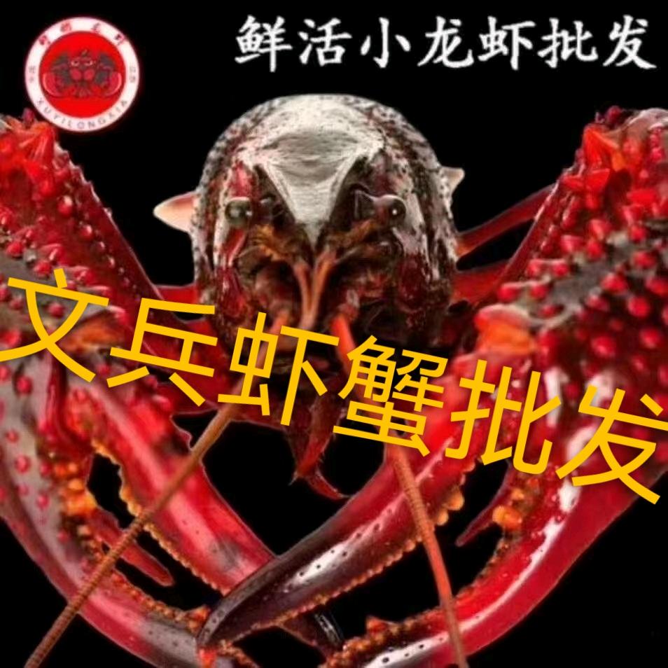 文兵虾蟹批发