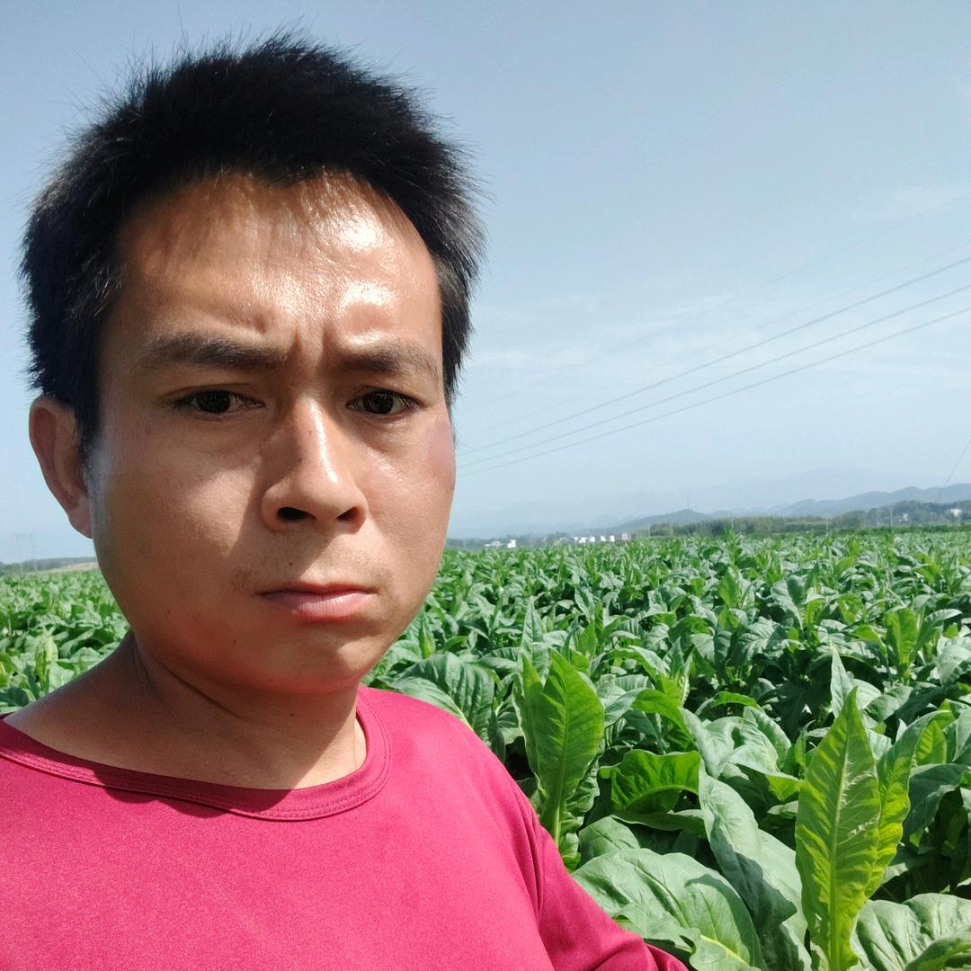 宋起良