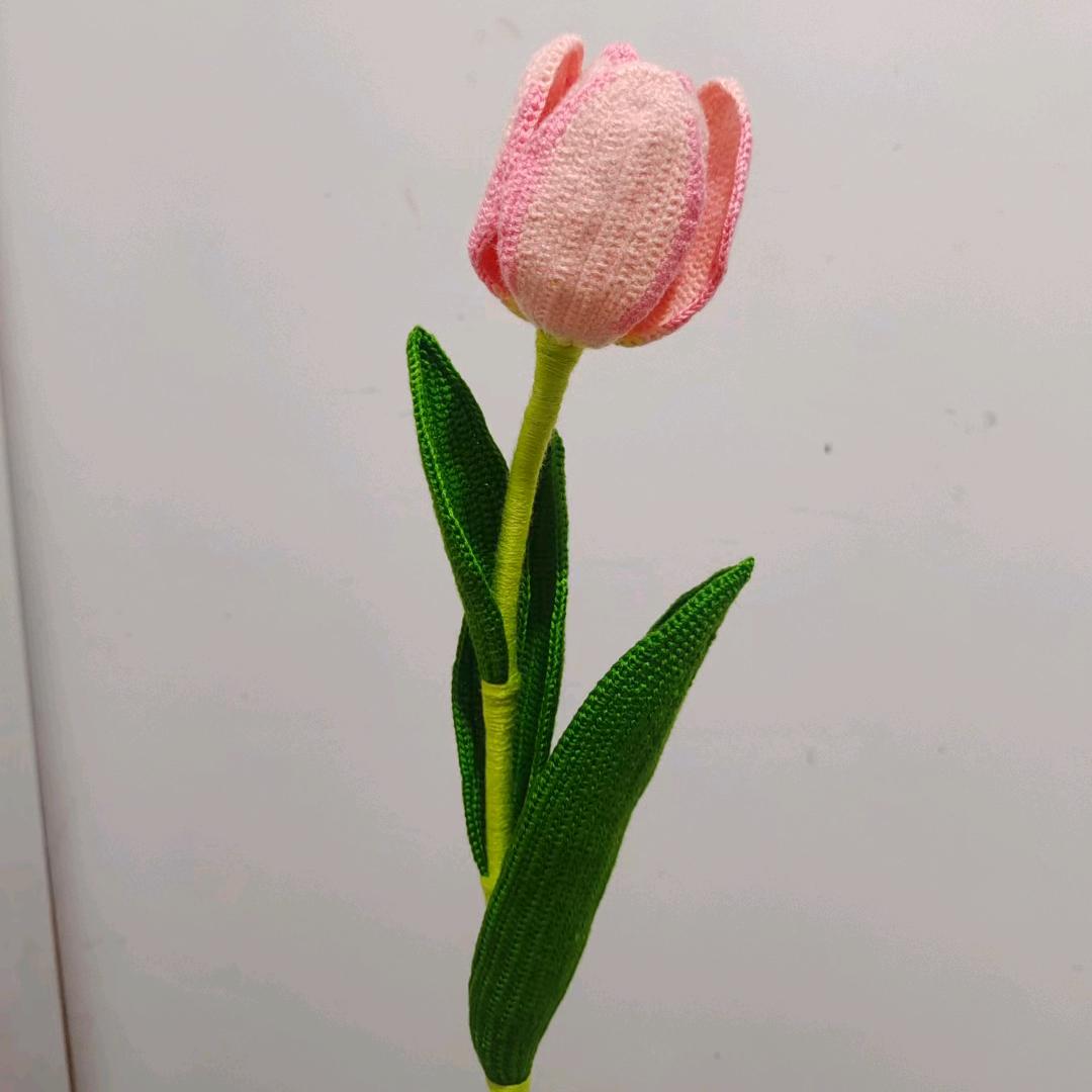 今天也很欧