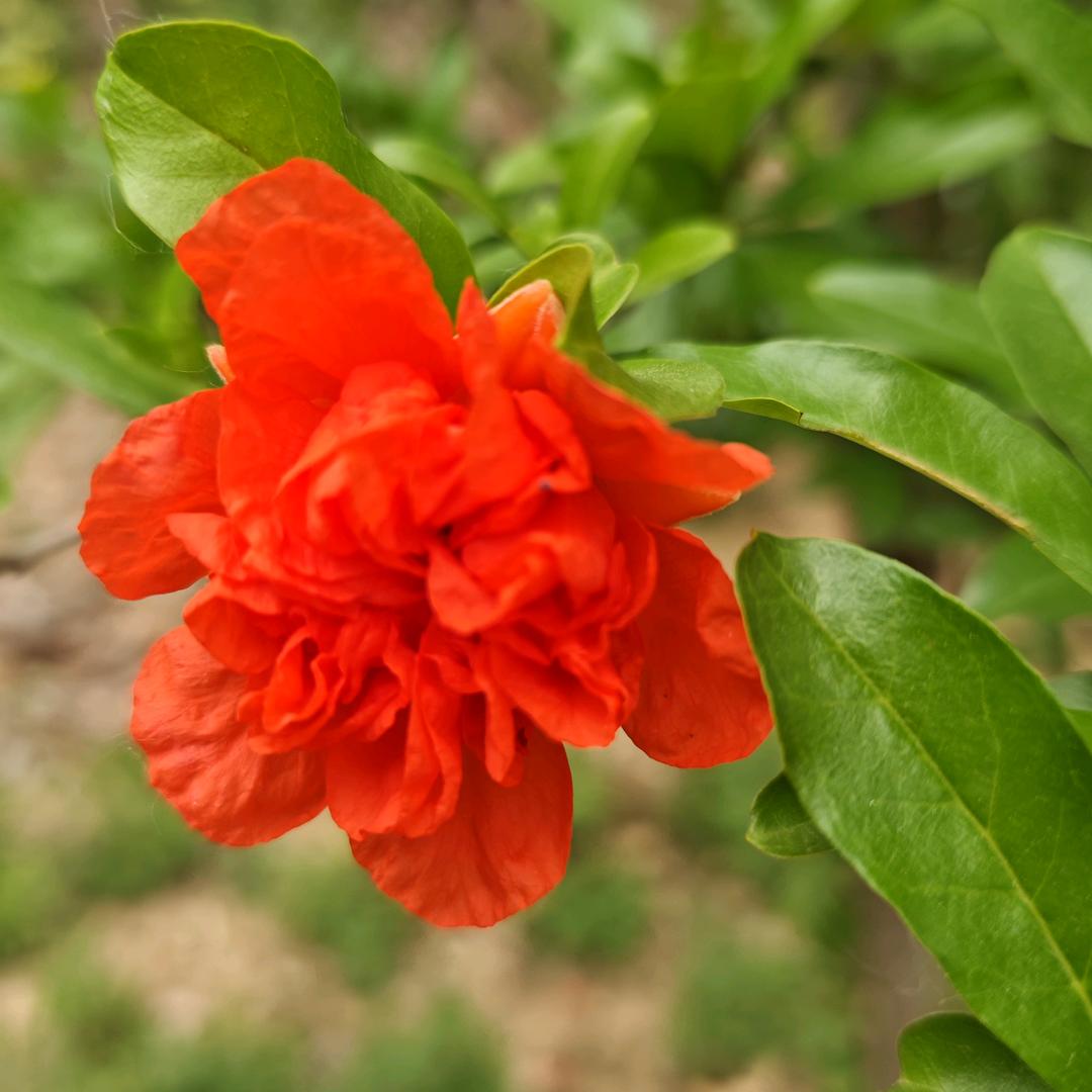 起个最长的名字，相信总有会人读完