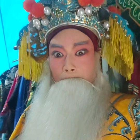 豫东调传承人王飞😊
