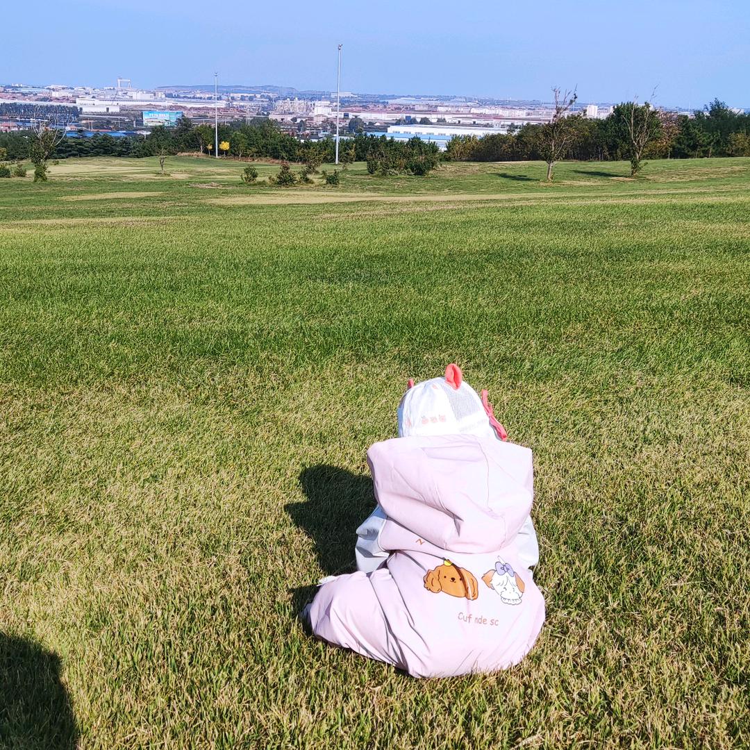 风景如画