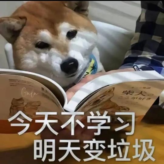 罪名(开学版)🌙