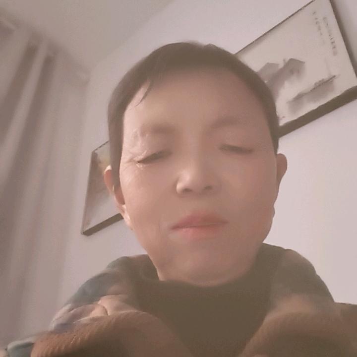 河南大姐（不定时直播）