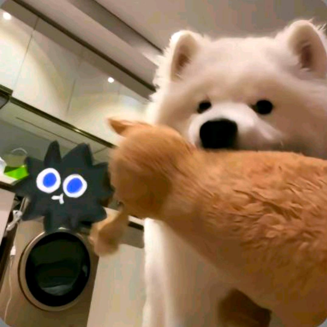 钤妧