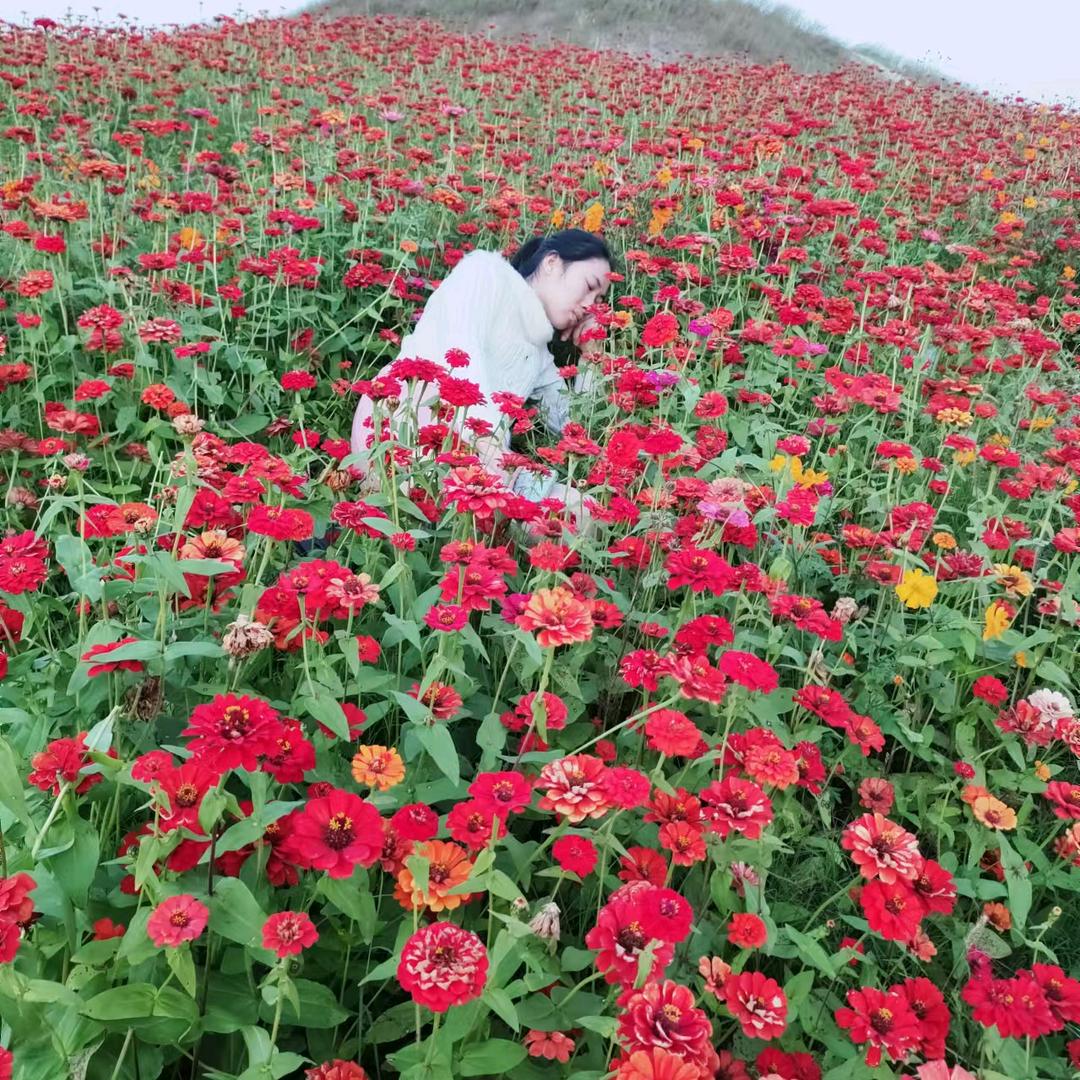 @艳艳