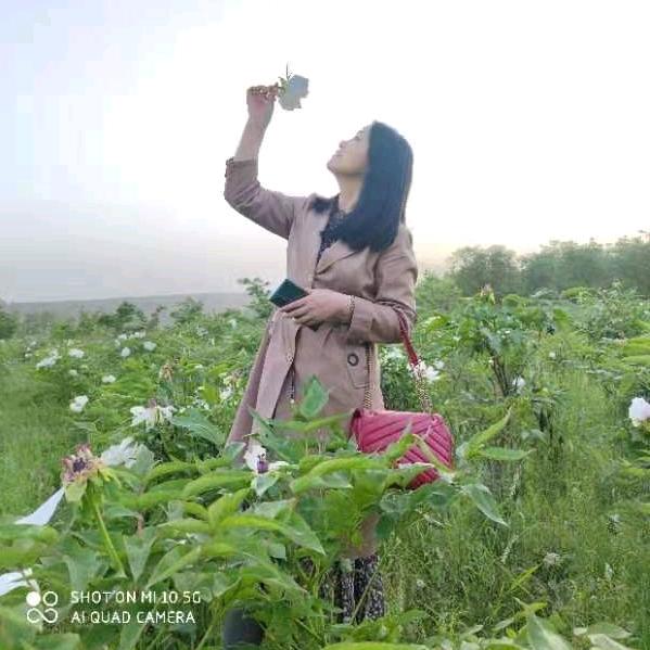 一诺倾情