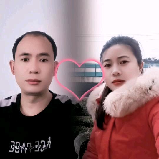 2461227017528杨钱