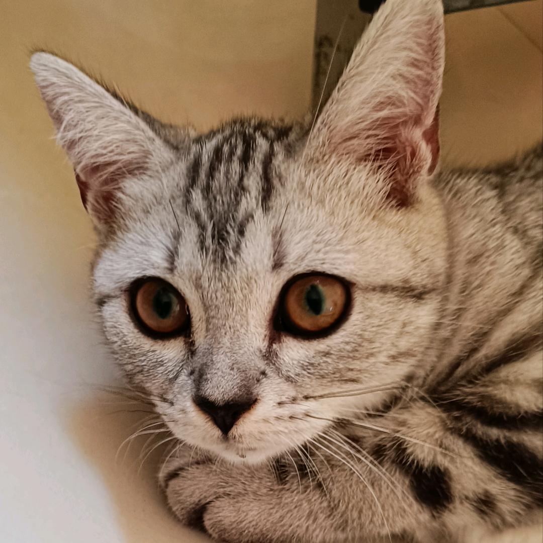 ✺◟(∗❛ัᴗ❛ั∗)◞✺嘟嘟