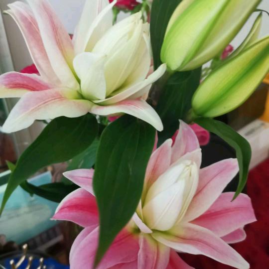 时来运转，钱多多