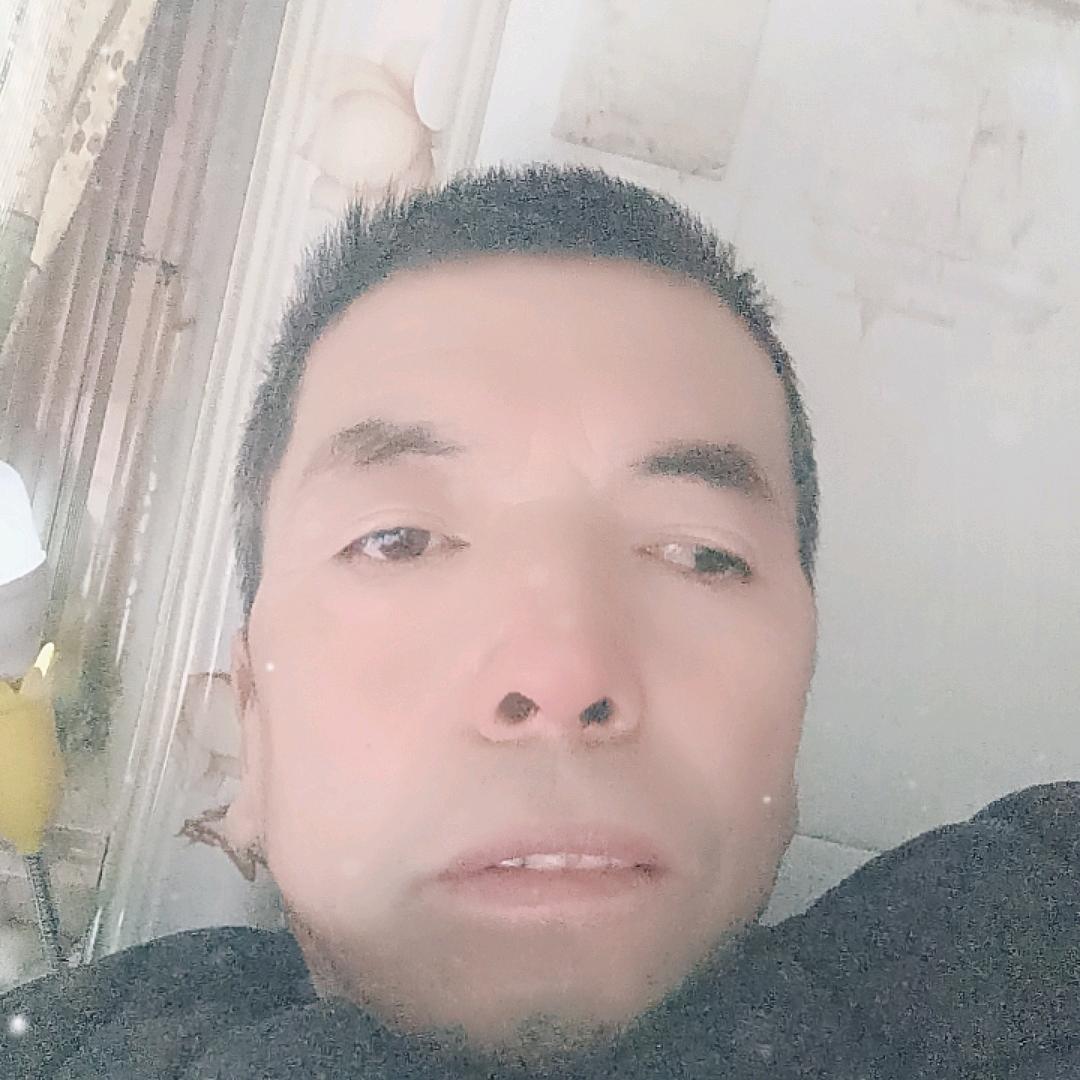 金周至翠香猕猴桃
