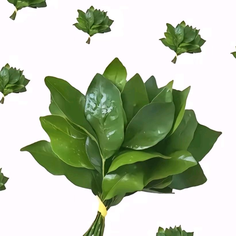 🌈得得得意洋洋