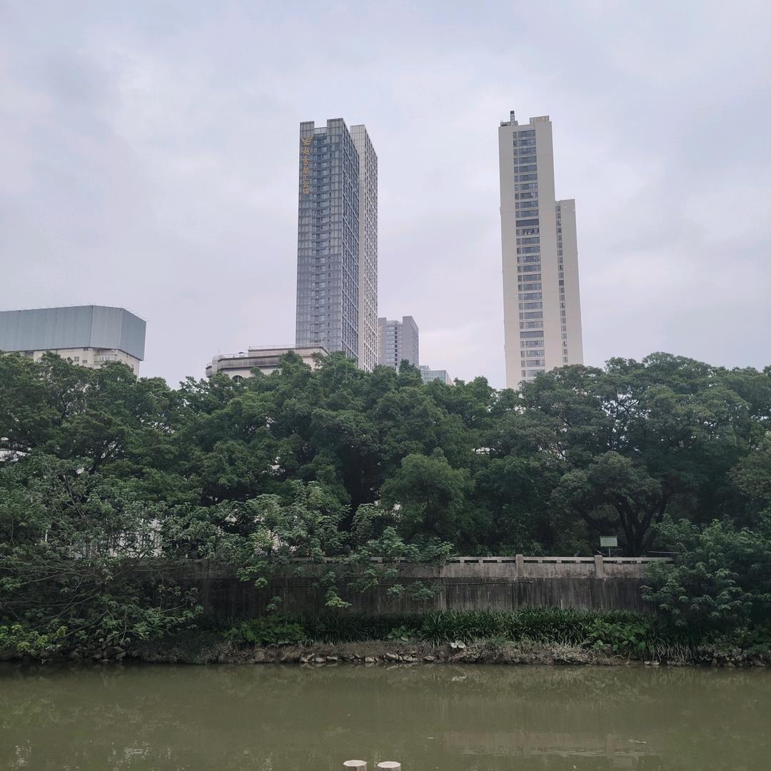心有所想
