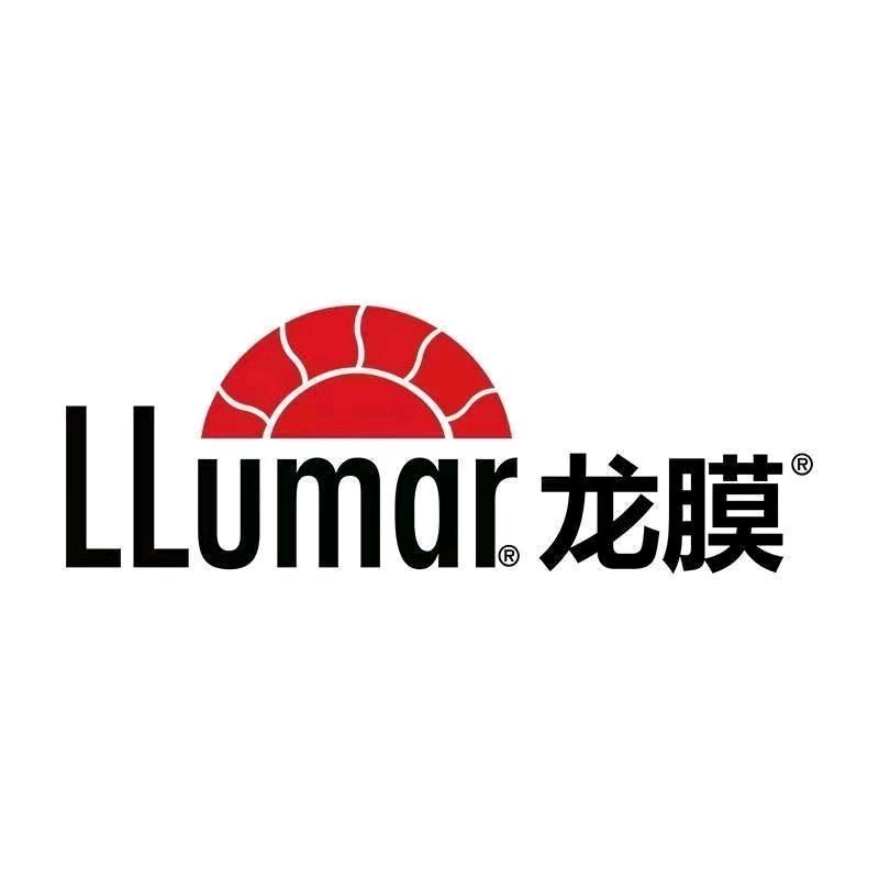 陆一龙膜