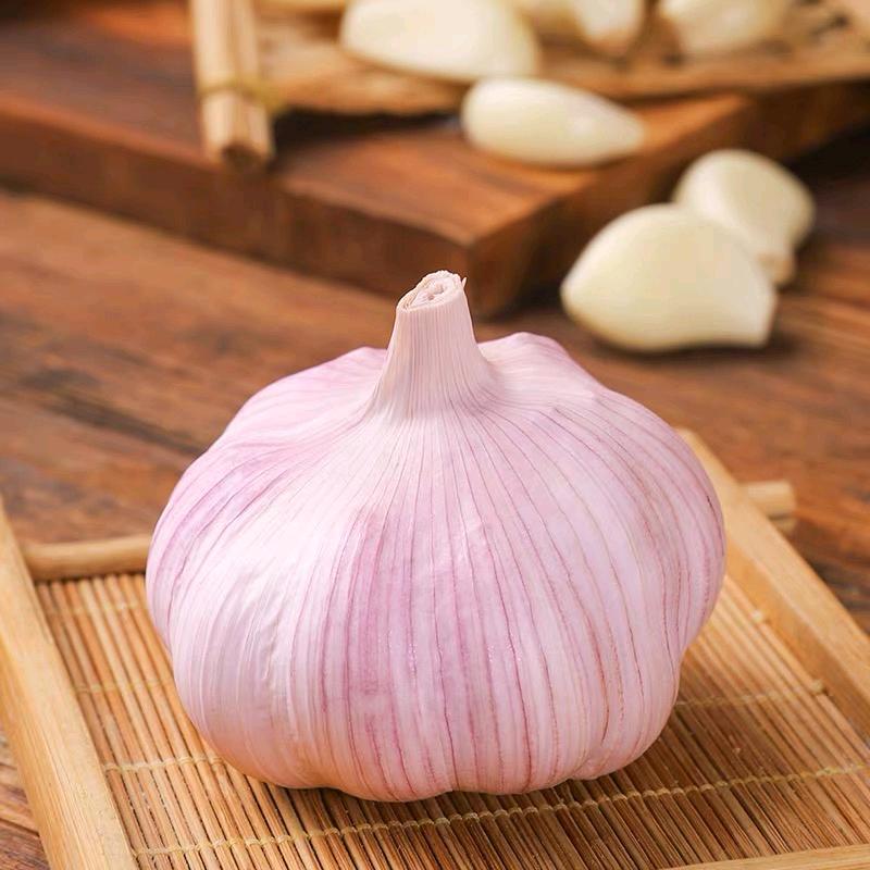 丰野生鲜二