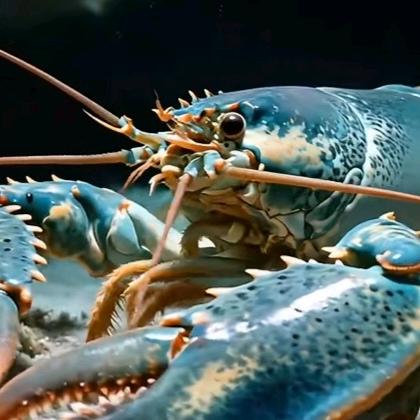 无人超市生鲜供应链