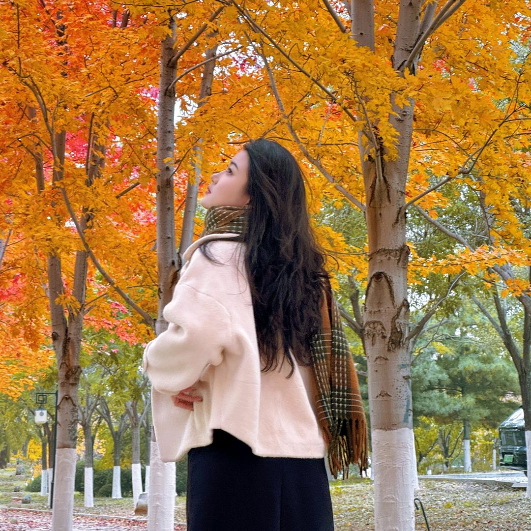 小马宝莉儿🐎