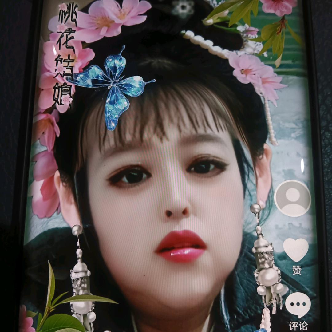 小燕子