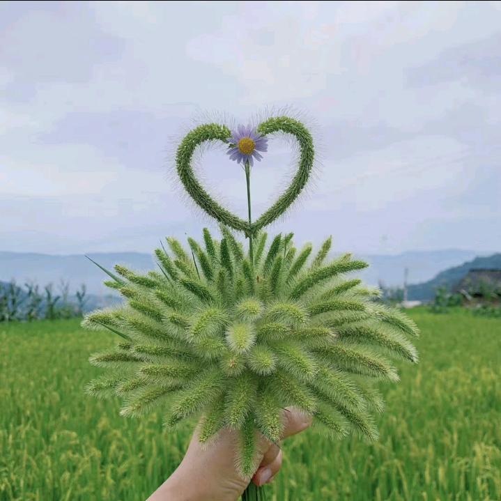 不懂@