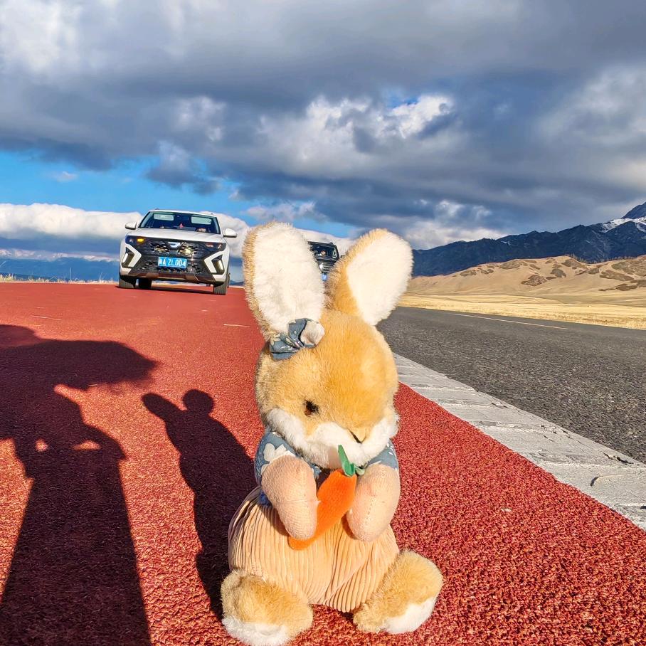 挣钱养主人的兔叽