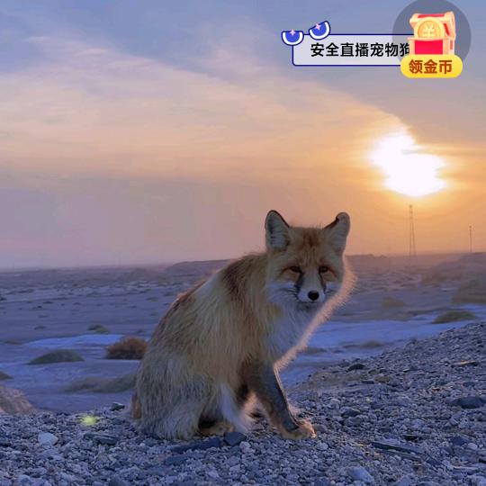 春夏秋冬