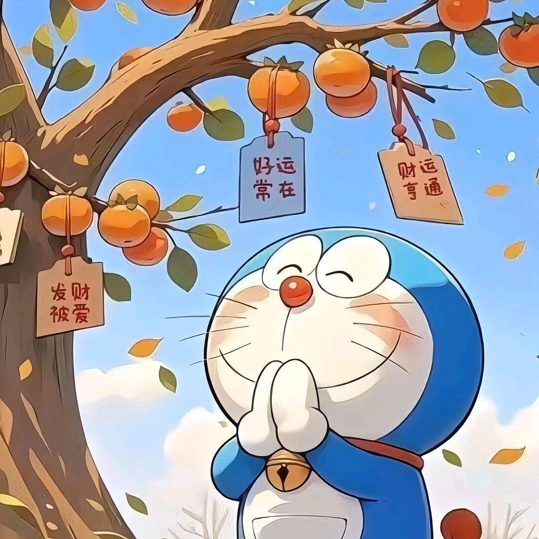 不装饰你的梦