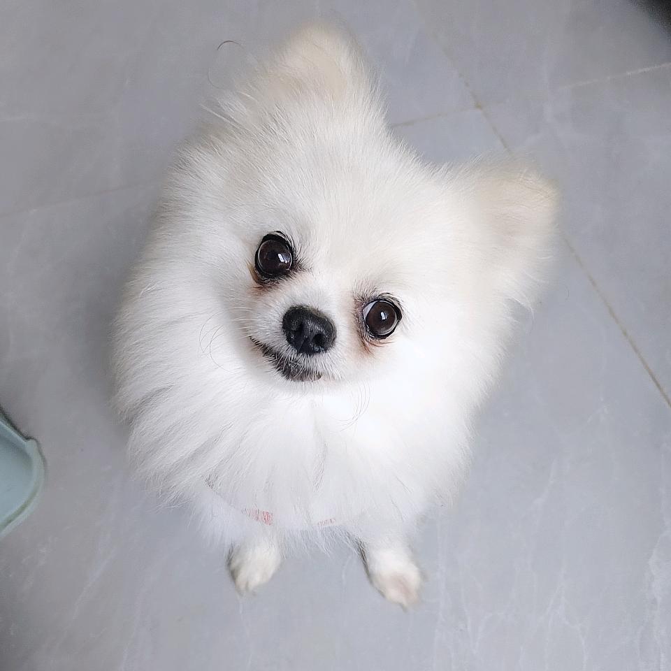 一只᭄幸ღ运🐏💖
