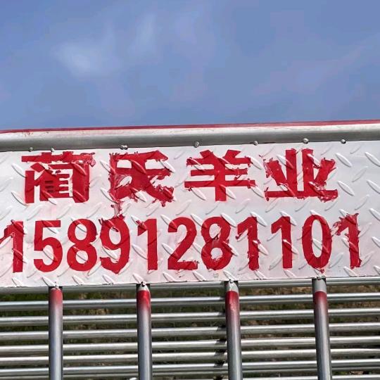 90后陕北人的日常生活