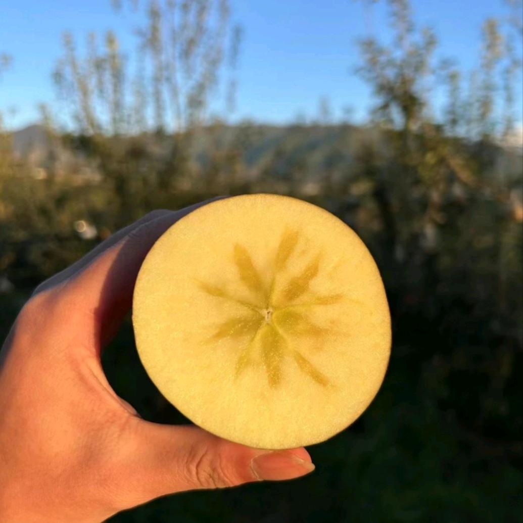 山西卓之润商贸有限公司