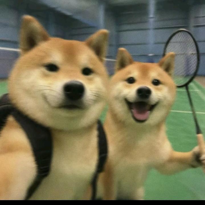 路漫漫🏸