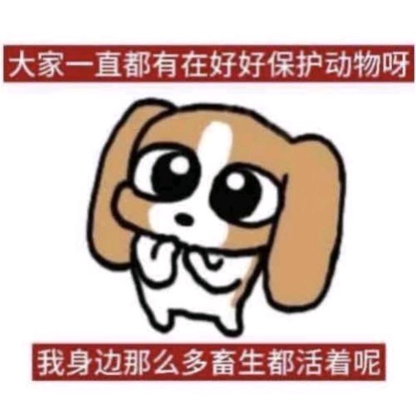 勇敢的发动机