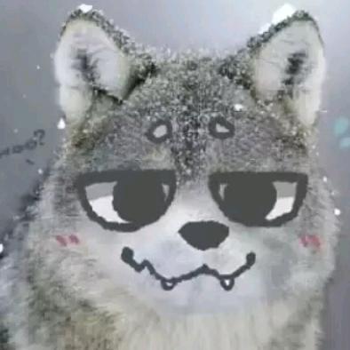 莫镭furry🐾