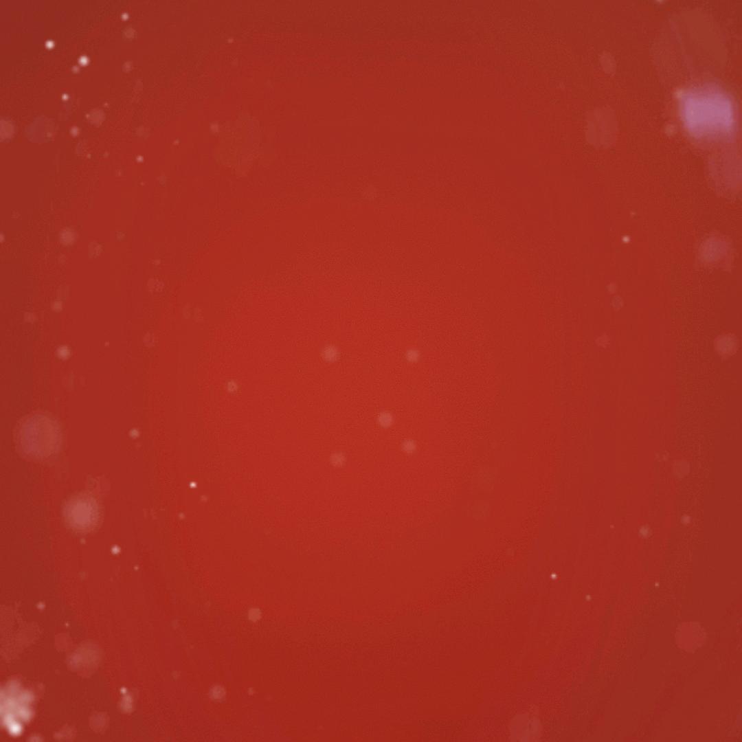 阳光☀️阳光☀️