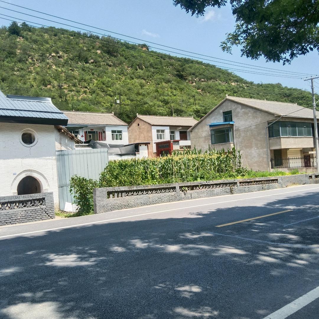 高先生
