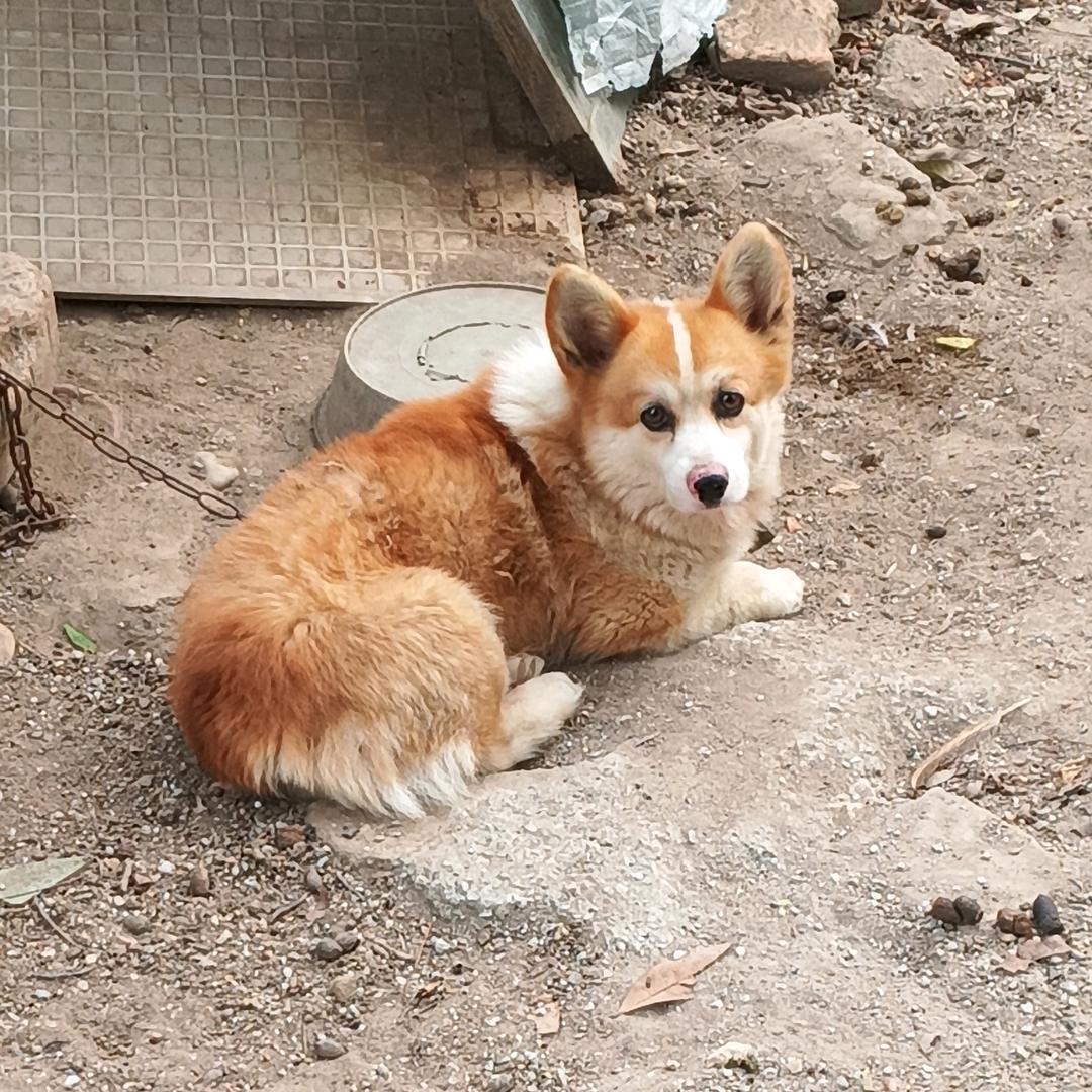 路过