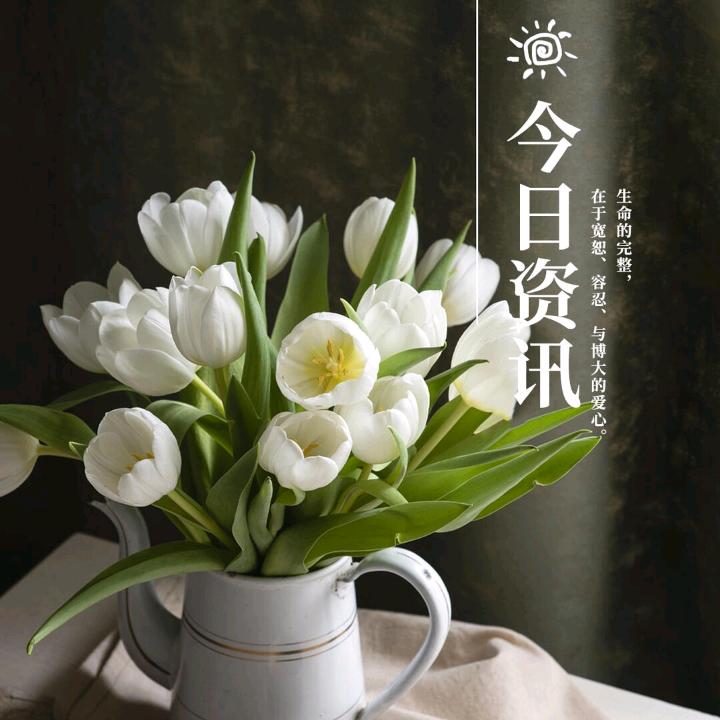 鹏哥