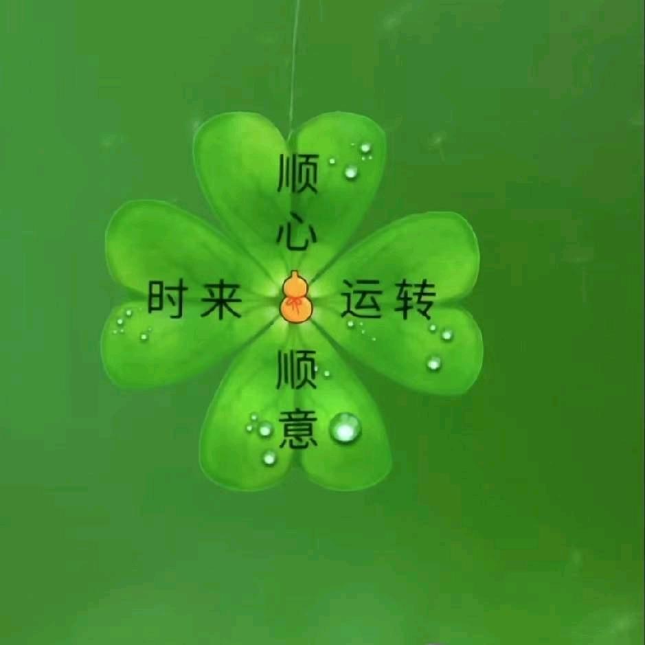 商标注册洋洋    好物推荐