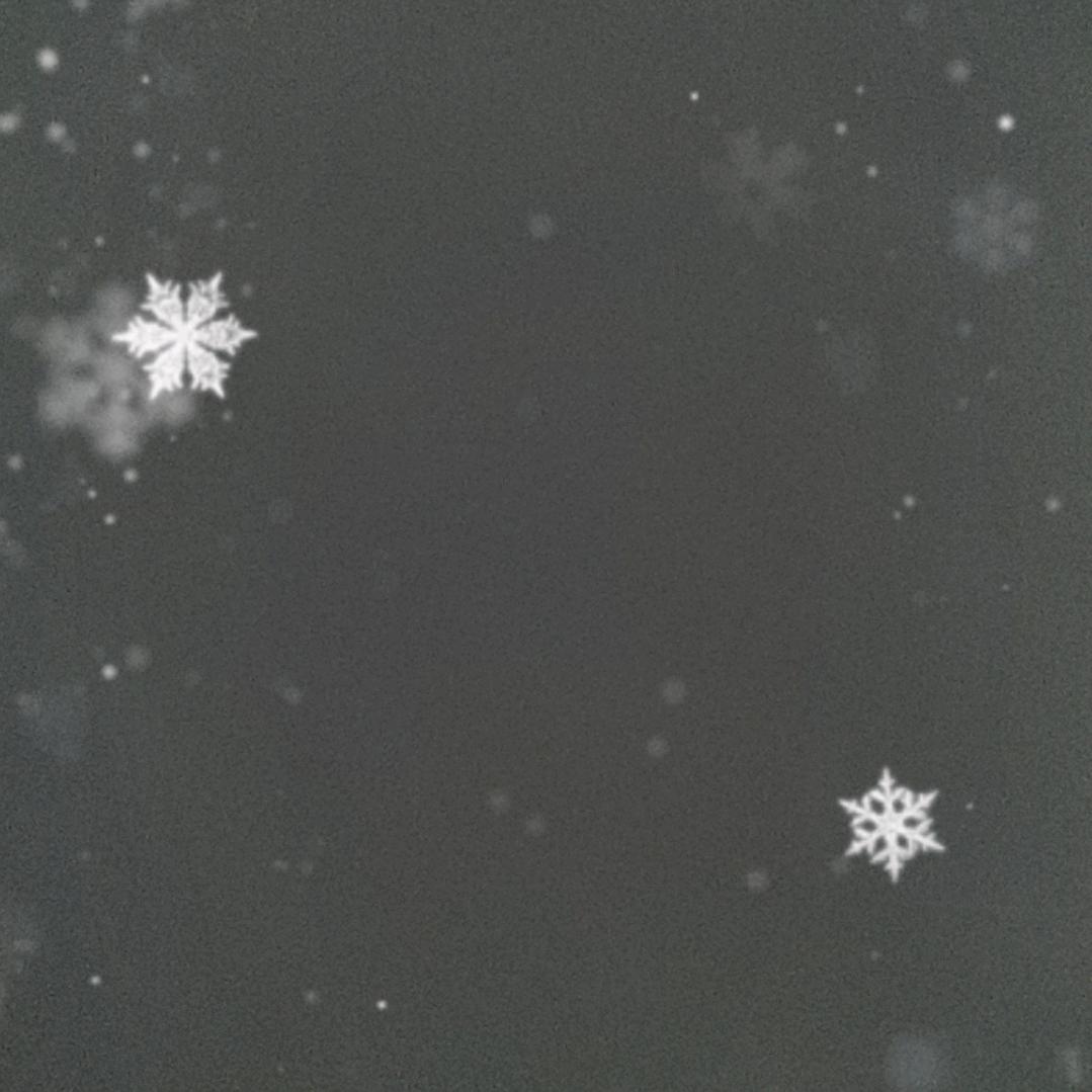 那年不败神话