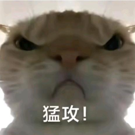点子王（三角洲行动）