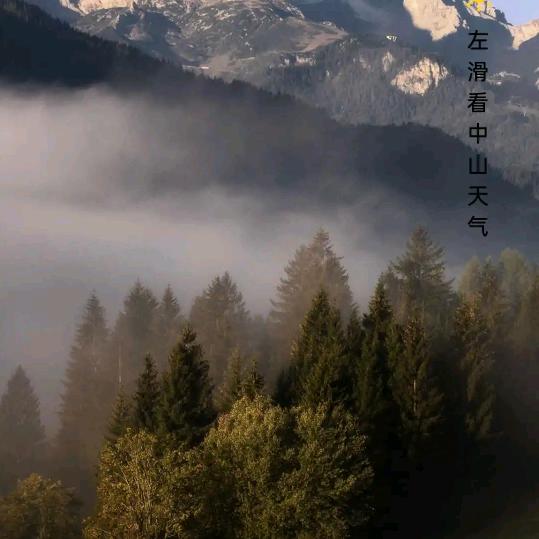 赵姐