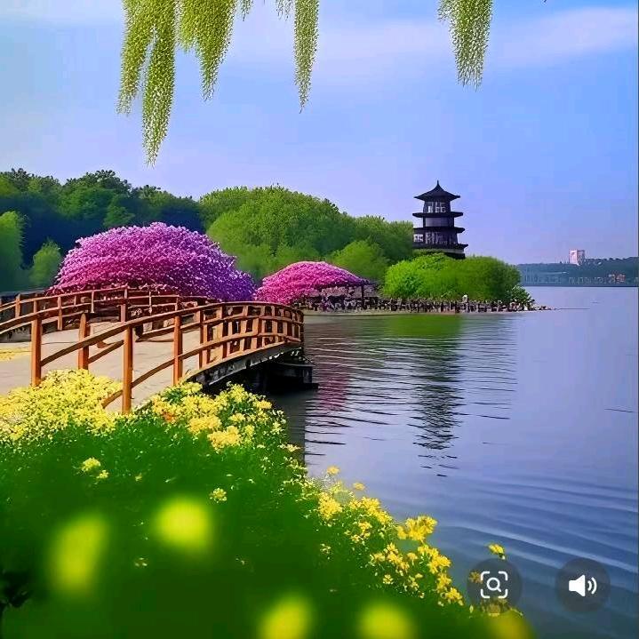 心静如水