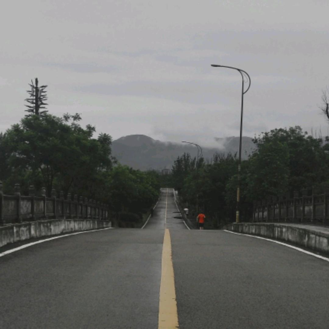 海滨南路头像