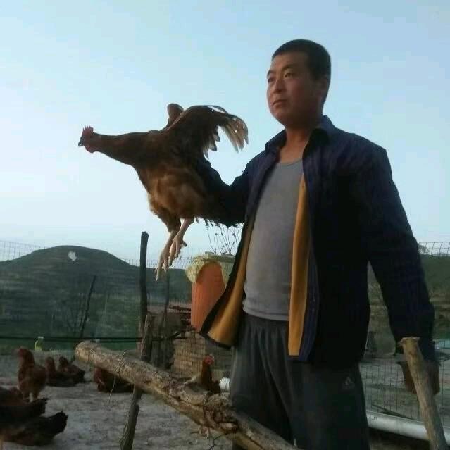 新农人--伟伟农村养殖创业0268