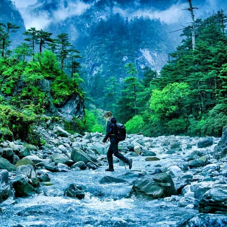 荒野_强哥