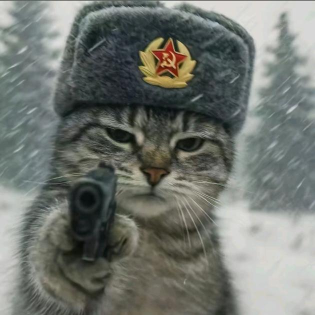 张正乾