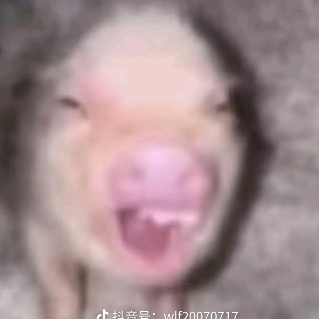 马+7劳大123