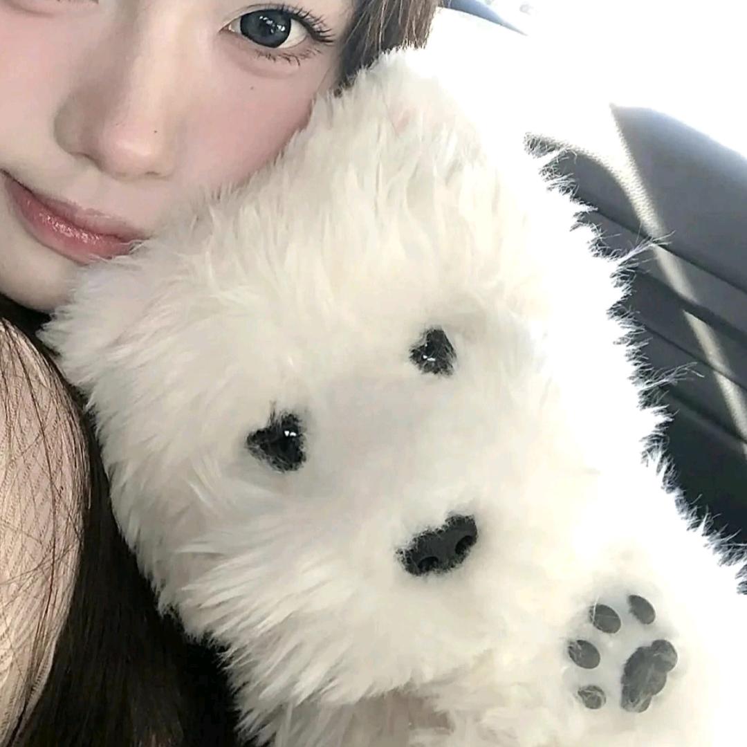 小趴菜