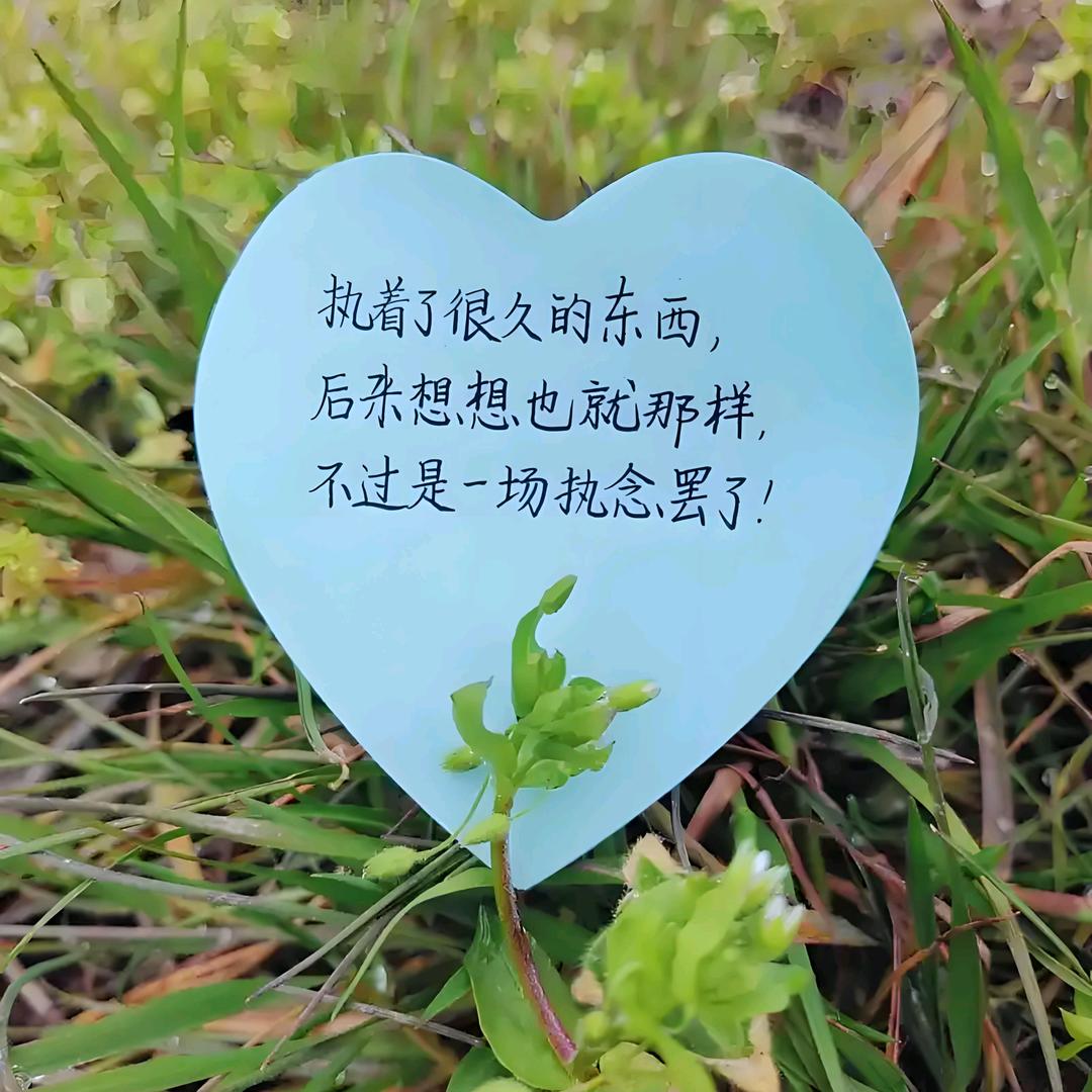执着已逝