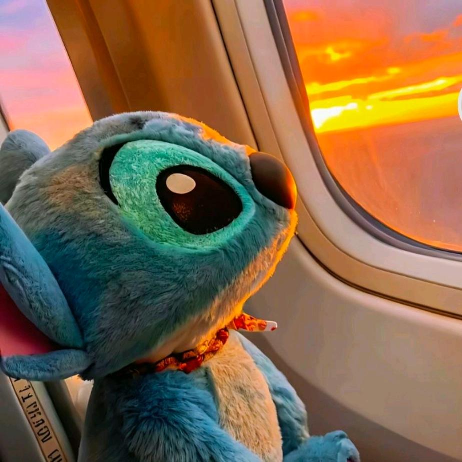 🐴嗨马儿不吃草🌿